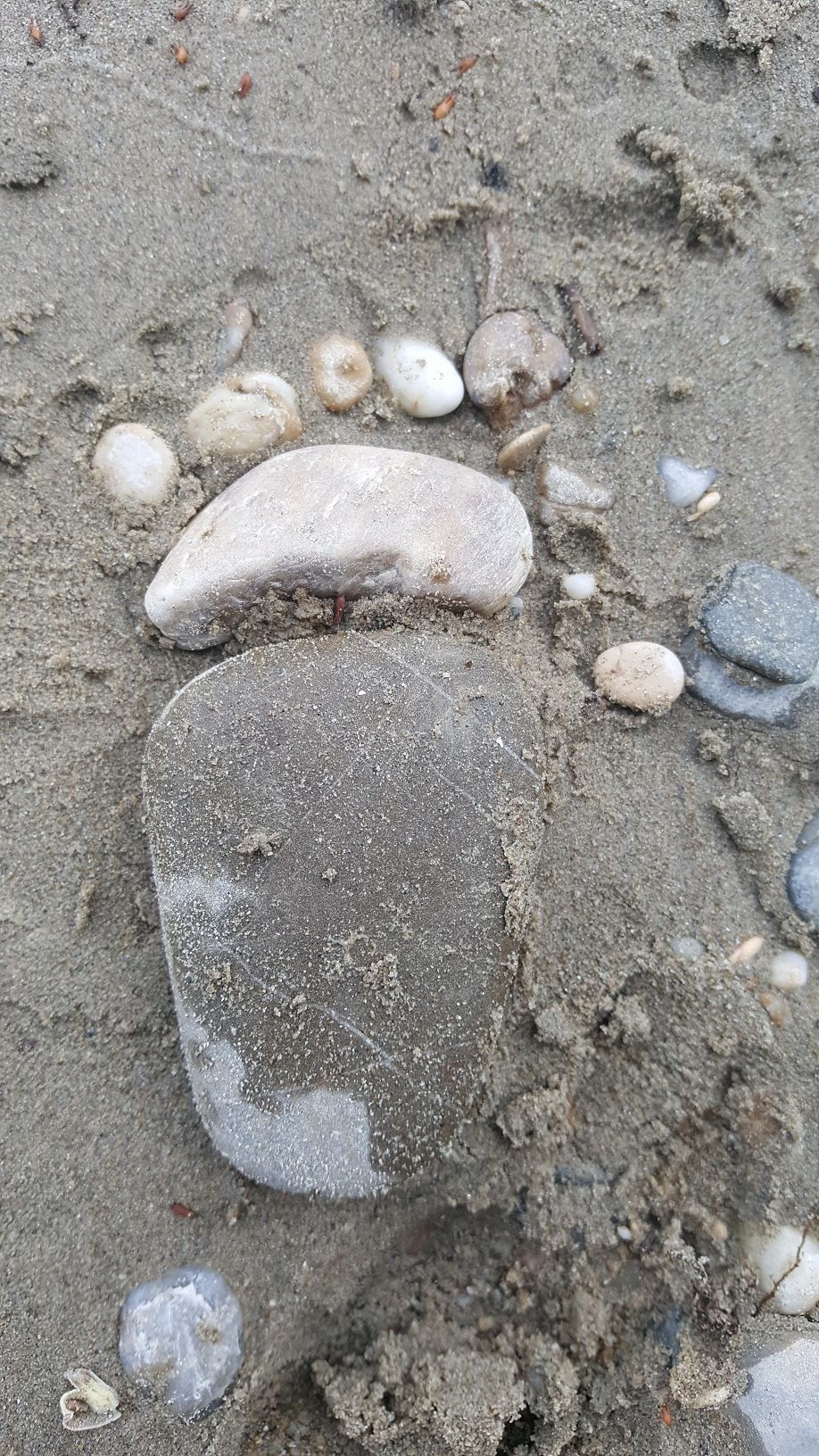 20200707 111755 Rotated